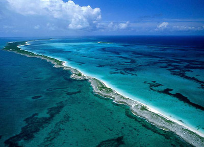 Багамы. Барьерный риф