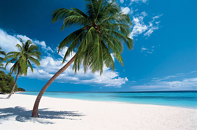 Жемчужно-белые пляжи Доминиканы